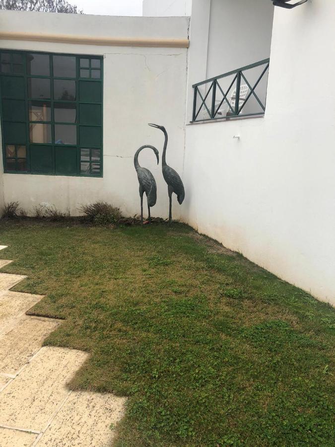 Hotel Castelo De Vide Luaran gambar